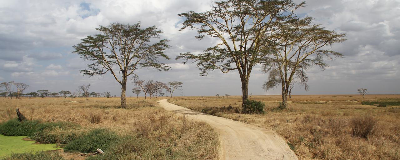 Seronera Central Serengeti