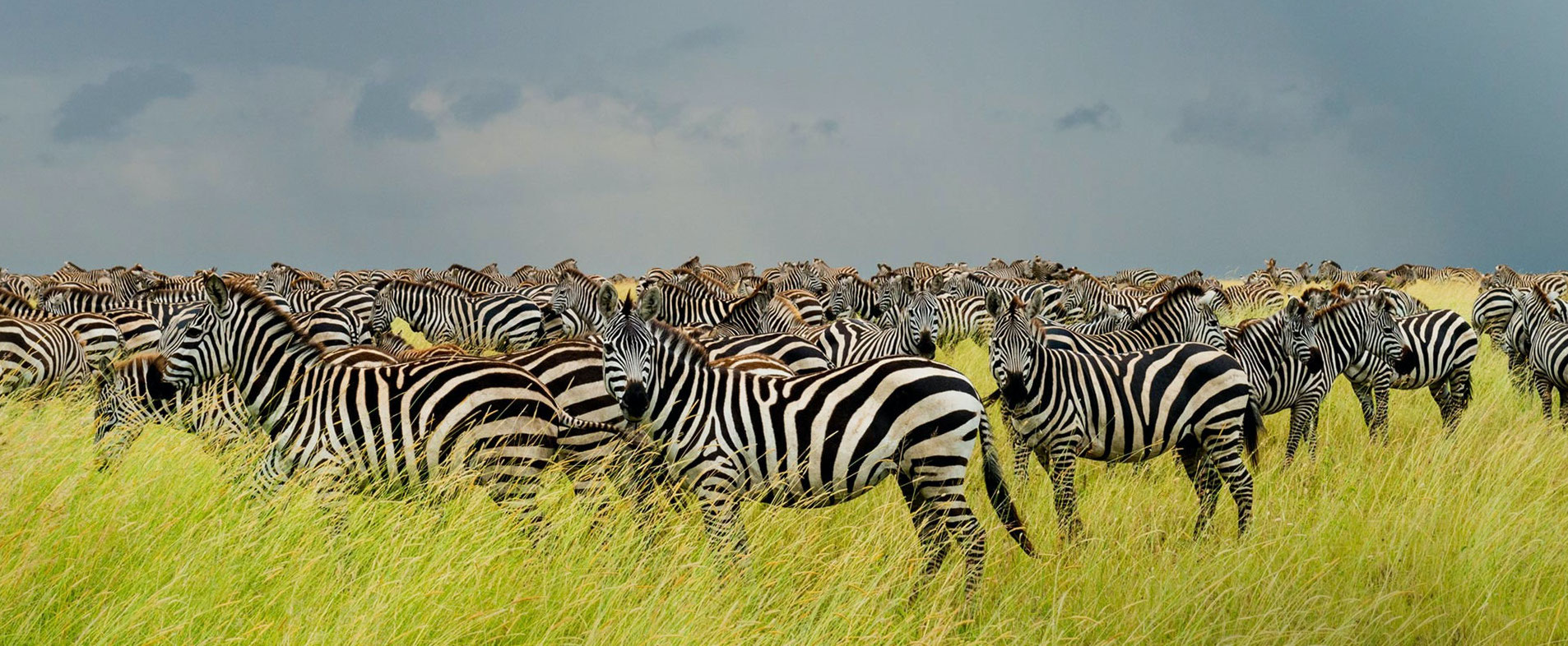 Tanzania Destinations | Tanzania National Parks